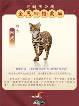 武逆天龙八部私服